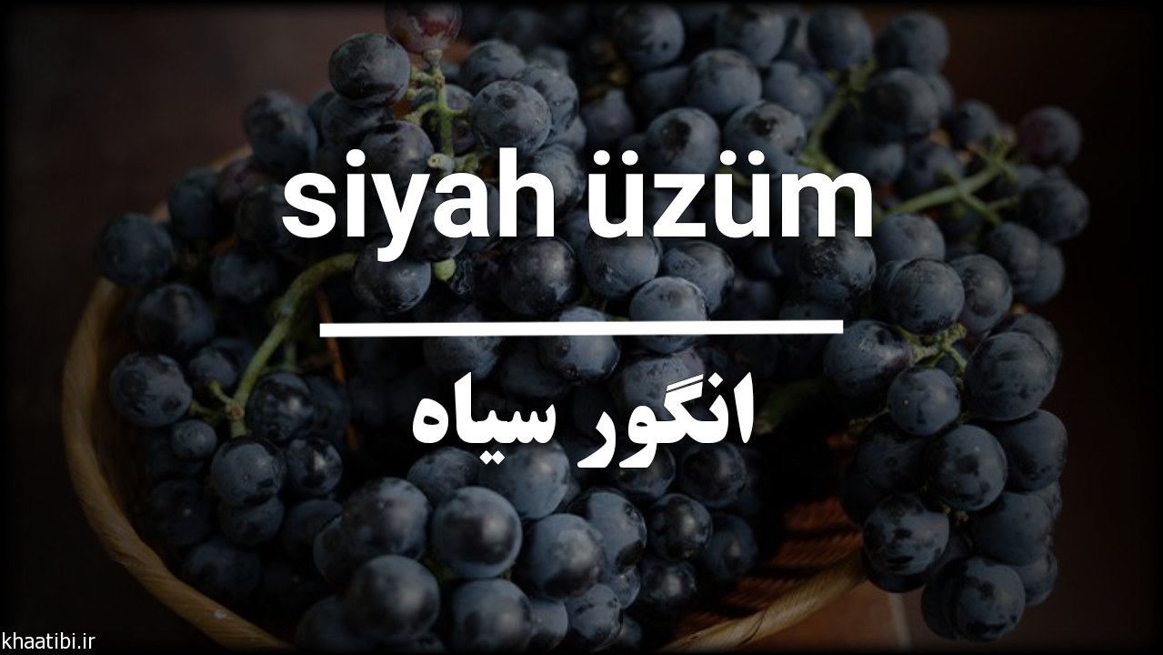 میوه ها در زبان ترکی استانبولی